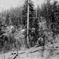 Sanger Mine, Camp