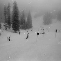 1981 Skiing, Men's Competition 26