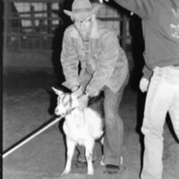1991 Rodeo, Roping Practice 05
