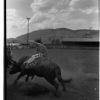 1989 Rodeo, Bull Riding 04
