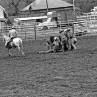 1986 Springfest, Rodeo Cowboys 05