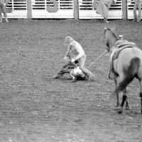 1978 Rodeo, Roping 03