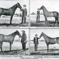 Art, Horses