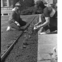 1989 Employees, Planting 20