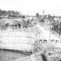 Binmaley, Fish Trap 4