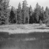 1981 Wallowa Mt. Field Station 52