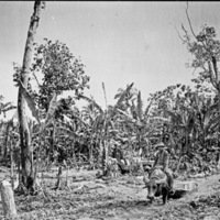 Leyte, Mud Boat 1