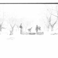 1988 Campus in Winter, Sledding 11