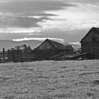 1985 Agriculture, Ranch 03