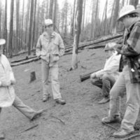 1987 Field Trip, Forest 16