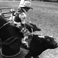 1981 Rodeo, Bull Riding 03