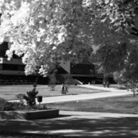 1977 Campus in Autumn 04
