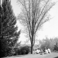 1968 Students, Outdoors 03