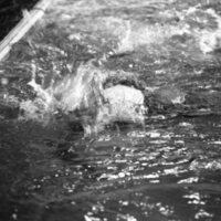 1985 Triathlon, Swimming 04