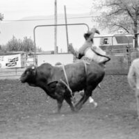 1978 Rodeo, Bull Riding 02