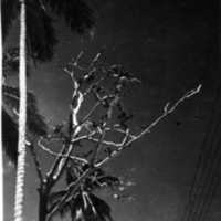 Art, Branches 3