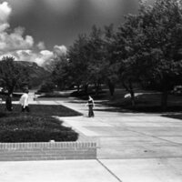 1978 Campus in Spring 02