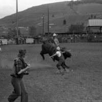 1981 Rodeo, Bull Riding 02