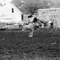 1987 Rodeo, Bronco Riding 10