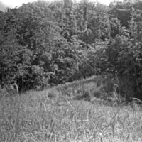 Dobodura Jungle 6