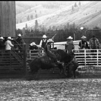 1991 Eastern Rodeo, Bull Riding 04