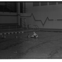 1989 Quinn Coliseum, Swimming Pool 09