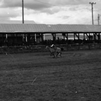 1982 EOSC Rodeo, Women's Barrel Racing 03