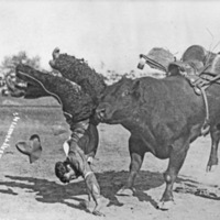 Rodeo, Bull Riding 1