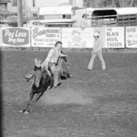 1978 Rodeo, Bronco Riding 08
