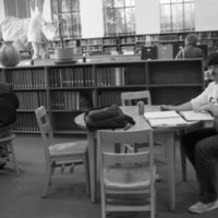 1986 Walter M. Pierce Library Usage 01