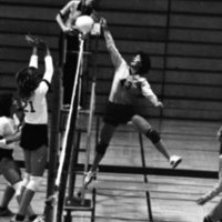 1981 Volleyball Action 40