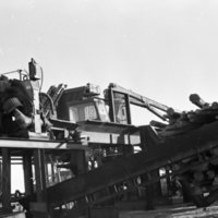 1980 Log Plant 09