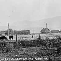 Union, Experiment Station 2