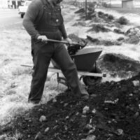 1985 Soroptimist Tree Plantings 14