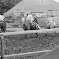 1987 Rodeo, Roping 01