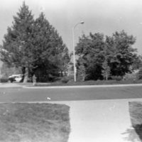 1987 Campus, Roundabout