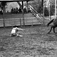 1986 Springfest, Rodeo Bronco Riding 07