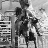 80's Rodeo, Bronco Riding 6