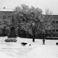1979 Skiing on Campus 05