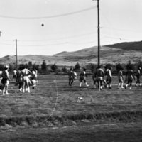 1982 Football Shoe Supply 02