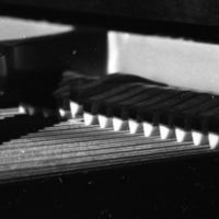 1980 Piano, Internal