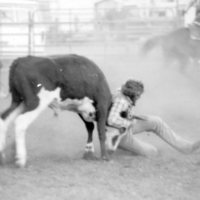 1979 Rodeo, Bulldogging 05