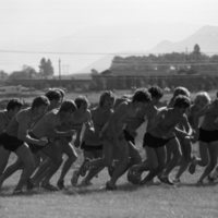 1980 Cross Country Start Line 07