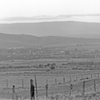 Cove, Hilltop View 6