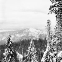 1981 Oregon, Blue Mountains 06