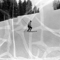 1949-50 Skier 3-1