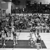 1977 Basketball Action 15