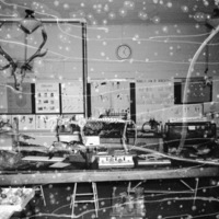 1949-50 Biology Lab Display 1