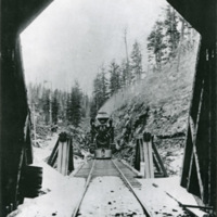 Train Crossing Bridge 1
