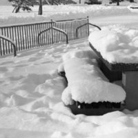 1984 Campus in Winter 01